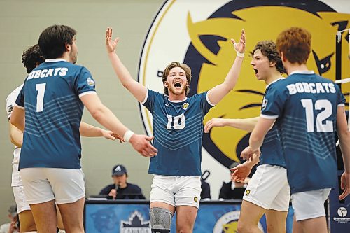 20012023
Max Brook #10 (C) of the Brandon University Bobcats celebrates a point with teammates during men&#x2019;s university volleyball action against the University of Calgary Dinos at the BU Healthy Living Centre on Friday evening. (Tim Smith/The Brandon Sun)