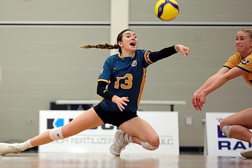 20012023
Libero Syree Tucker #13 of the Brandon University Bobcats digs the ball during university volleyball action against the University of Calgary Dinos at the BU Healthy Living Centre on Friday evening. The Bobcats lost to the Dinos in five sets.
(Tim Smith/The Brandon Sun)