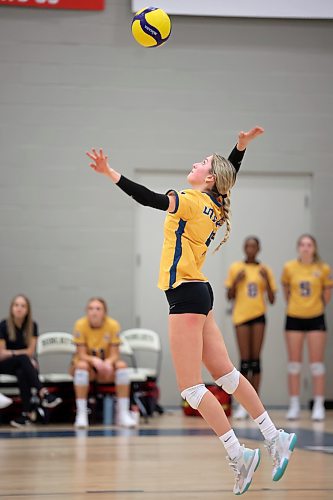 20012023
Ashley Thoms #4 of the Brandon University Bobcats serves during university volleyball action against the University of Calgary Dinos at the BU Healthy Living Centre on Friday evening. The Bobcats lost to the Dinos in five sets.
(Tim Smith/The Brandon Sun)