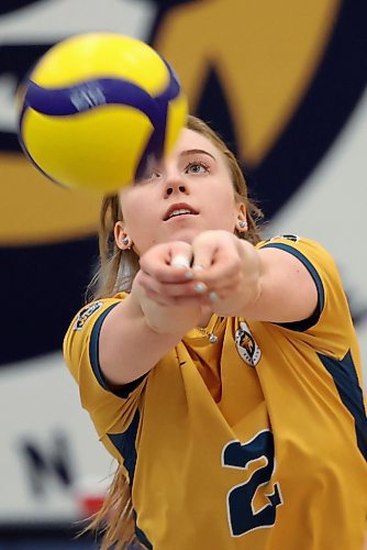 20012023
Carly Thomson #2 of the Brandon University Bobcats bumps the ball during university volleyball action against the University of Calgary Dinos at the BU Healthy Living Centre on Friday evening. The Bobcats lost to the Dinos in five sets.
(Tim Smith/The Brandon Sun)