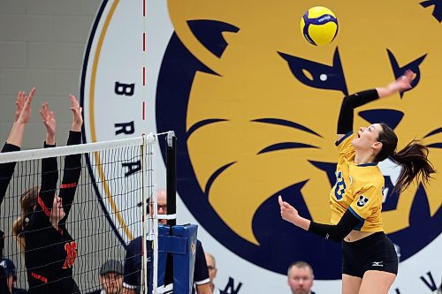 20012023
Keely Anderson #10 of the Brandon University Bobcats hammers the ball over the net during university volleyball action against the University of Calgary Dinos at the BU Healthy Living Centre on Friday evening. The Bobcats lost to the Dinos in five sets.
(Tim Smith/The Brandon Sun)
