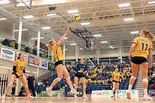 20012023
Laura Ramsey #6 of the Brandon University Bobcats plays the ball during university volleyball action against the University of Calgary Dinos at the BU Healthy Living Centre on Friday evening. The Bobcats lost to the Dinos in five sets.
(Tim Smith/The Brandon Sun)