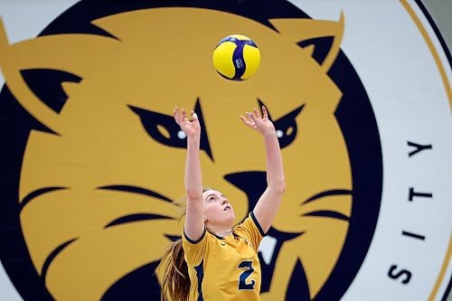 20012023
Carly Thomson #2 of the Brandon University Bobcats sets the ball during university volleyball action against the University of Calgary Dinos at the BU Healthy Living Centre on Friday evening. The Bobcats lost to the Dinos in five sets.
(Tim Smith/The Brandon Sun)