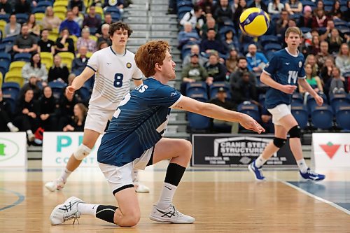 20012023
Rylan Metclaf #12 of the Brandon University Bobcats digs the ball during men&#x2019;s university volleyball action against the University of Calgary Dinos at the BU Healthy Living Centre on Friday evening. (Tim Smith/The Brandon Sun)