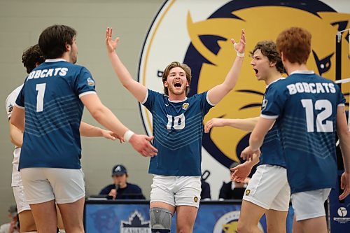 20012023
Max Brook #10 (C) of the Brandon University Bobcats celebrates a point with teammates during men&#x2019;s university volleyball action against the University of Calgary Dinos at the BU Healthy Living Centre on Friday evening. (Tim Smith/The Brandon Sun)