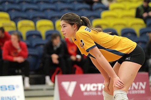 Kallie Ball got her first Canada West women's volleyball start on Saturday as the Brandon Bobcats lost in straight sets to the Calgary Dinos. (Thomas Friesen/The Brandon Sun)