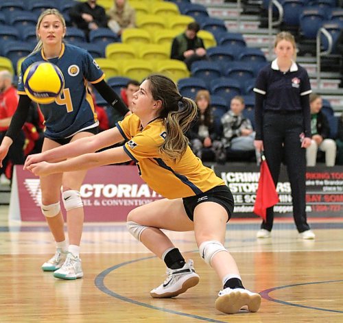 Kallie Ball recorded six digs in her first Canada West women's volleyball start as the Brandon Bobcats lost in straight sets to the Calgary Dinos. (Thomas Friesen/The Brandon Sun)