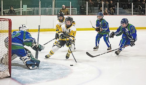 Under-13 AA Brandon Wheat Kings forward Clarke Caswell, who now skates for the Western Hockey League's Swift Current Broncos,  comes in on net against the Melfort Mustang at the Tournament of Champions at the Keystone Centre in 2019. The 51st edition of the event runs for two weekends in February.  (Brandon Sun file photo)