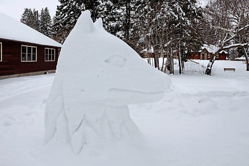 25012023
One of many snow sculptures dotting the town of Wasagaming in Riding Mountain National Park on Wednesday.
(Tim Smith/The Brandon Sun)
