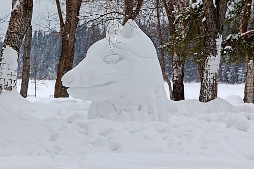 25012023
One of many snow sculptures dotting the town of Wasagaming in Riding Mountain National Park on Wednesday.
(Tim Smith/The Brandon Sun)