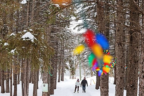 Colleen and Greg Krisko glide through the trees along the skating trail at Riding Mountain National Park earlier this week. (Tim Smith/The Brandon Sun)