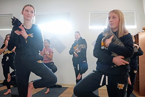 30012023
Taylor Paton, Paige Thompson and Brynn Rice hold kittens and a pose while taking part in a yoga glass with teammates from their U13 AA female Wheat Kings team during Caturday kitten yoga at Luna Muna yoga and wellness studio in Brandon on Saturday. 
(Tim Smith/The Brandon Sun)