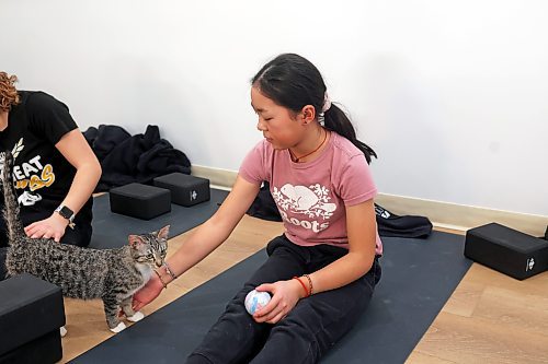 30012023
Chelsea Sun visits with a kitten while taking part in a yoga glass with teammates from her U13 AA female Wheat Kings team during Caturday kitten yoga at Luna Muna yoga and wellness studio in Brandon on Saturday. 
(Tim Smith/The Brandon Sun)