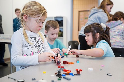 MIKE DEAL / WINNIPEG FREE PRESS
Starbuck School students playing with lego during the noon-hour Lego Club, (l-r) Taylin Harding, Everett Mosset, and Lily Turner. 
Tim Morison, phys-ed teacher at Starbuck School in Starbuck, MB, found in Lego an unlikely cure to workplace burnout and mental health challenges, which began after months of teaching during a pandemic and worsened when he and his wife lost their baby in the spring. Morison opened up to his students about his mental health struggles and shared his coping mechanism: building Lego with his three-year-old at home and alone, with them. His studentsՠreceptiveness has since sparked the launch of a Lego club at Starbuck School. On Mondays and Tuesdays, the phys-ed teacher forfeits his lunch hour to spend time with K-8 students and colourful blocks. Theyնe done significant fundraising to purchase toys and accepted donations from community members.
See Maggie Macintosh story
230130 - Monday, January 30, 2023.