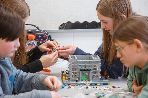 MIKE DEAL / WINNIPEG FREE PRESS
Starbuck School students playing with lego during the noon-hour Lego Club, (l-r) Nicholas Lyssiakov, Sara Fossay, Emily Manaigre, and Abby Zulyniak.
Tim Morison, phys-ed teacher at Starbuck School in Starbuck, MB, found in Lego an unlikely cure to workplace burnout and mental health challenges, which began after months of teaching during a pandemic and worsened when he and his wife lost their baby in the spring. Morison opened up to his students about his mental health struggles and shared his coping mechanism: building Lego with his three-year-old at home and alone, with them. His studentsՠreceptiveness has since sparked the launch of a Lego club at Starbuck School. On Mondays and Tuesdays, the phys-ed teacher forfeits his lunch hour to spend time with K-8 students and colourful blocks. Theyնe done significant fundraising to purchase toys and accepted donations from community members.
See Maggie Macintosh story
230130 - Monday, January 30, 2023.