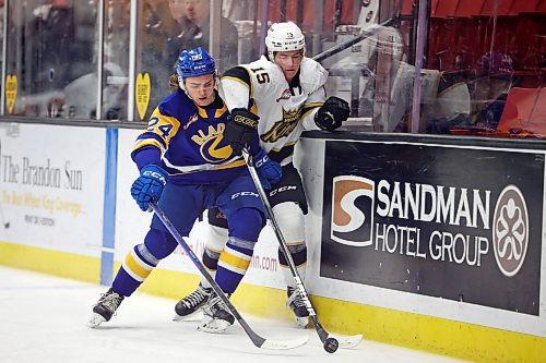 31012022
Nolan Ritchie #15 of the Brandon Wheat Kings tries to play the puck while being driven into the boards by Tanner Molendyk #24 of the Saskatoon Blades during WHL action at Westoba Place on Tuesday evening. 
(Tim Smith/The Brandon Sun)