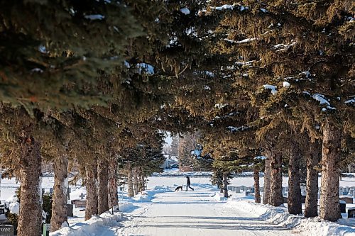 01022023
Scott Olderburger walks his dog Lizzy through the Brandon Municipal Cemetery on a cold Wednesday afternoon. 
(Tim Smith/The Brandon Sun)