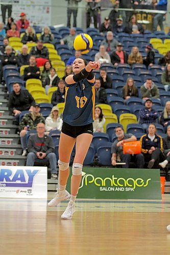 Brandon Bobcats outside hitter Keely Anderson moved into Canada West women's volleyball's top 10 for aces in a season during a four-set loss to Saskatchewan at the Healthy Living Centre on Saturday. Anderson has 49 with four matches to go and is 22 shy of Michelle Egger's program and conference record. (Thomas Friesen/The Brandon Sun)