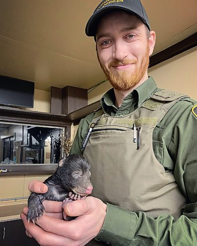 Courtesy of Black Bear Rescue Manitoba
Conservation Officer Ben Wood holds a tiny bear cub he broght to Black Bear Rescue Manitoba.
The cub arrived Feb. 8 from the Devil&#x2019;s Lake, MB area. The cub is only 2-3 weeks old and weighs 1.4 lbs. He was abandoned by his mother after a den disturbance. The cub was taken in after it was determined the mother wasn&#x2019;t coming back. 
See Katrina Clarke story. WInnipeg Free Press. Image submitted Feb. 12, 2023.