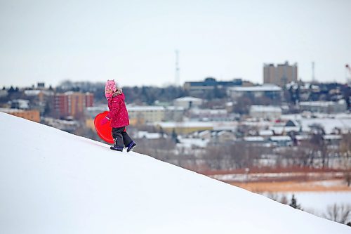 Six-year-old Madison MacDonald from Minto walks her saucer sled up Hanbury Hill on a windy Tuesday afternoon. (Matt Goerzen/The Brandon Sun)