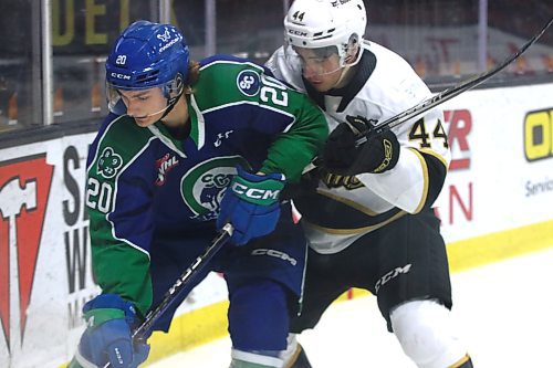 Swift Current Broncos forward Braeden Lewis (20) of Virden and Brandon Wheat Kings defenceman Andrei Malyavin (44) battle for the puck at Westoba Place last Tuesday. (Perry Bergson/The Brandon Sun)