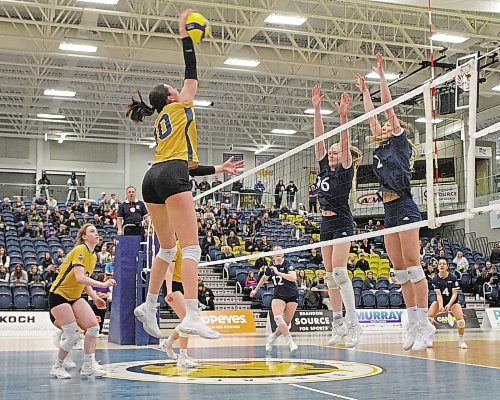 Brandon University Bobcats Keely Anderson attacks against the Trinity Western Spartans during their Canada West women's volleyball match at the Healthy Living Centre on Friday. (Thomas Friesen/The Brandon Sun)