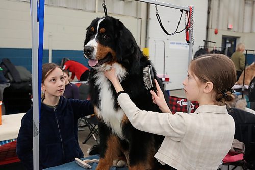 Sisters Emilna and Eliana Neumann with their Bernese Mountain Dog at the Crocus Obedience and Kennel Club's annual obedience trials and confirmation shows. (Michele McDougall The Brandon Sun)