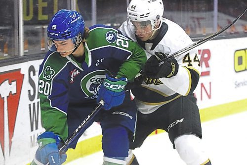 Swift Current Broncos forward Braeden Lewis (20) of Virden and Brandon Wheat Kings defenceman Andrei Malyavin (44) battle for the puck at Westoba Place last Tuesday. (Perry Bergson/The Brandon Sun)