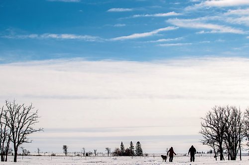 MIKAELA MACKENZIE / WINNIPEG FREE PRESS

Diane Fedell (left), her son Matthew Fedell, and dog Tasha go for a walk on a crisp, blue-skied day at La Barriere Park just south of Winnipeg on Tuesday, Feb. 21, 2023. Standup.

Winnipeg Free Press 2023.