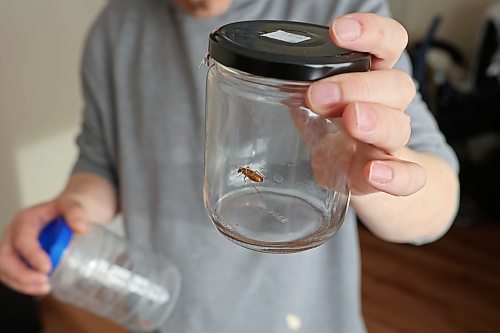 Maurice Taillieu holds jar with a cockroach he trapped in his home in Brandon’s south-east end. Taillieu and his partner have been struggling to have Manitoba Housing take a cockroach infestation in their home seriously and are worried about the effects of the cockroach removal process on their health and that of their seven-month-old boy. (Tim Smith/The Brandon Sun) 