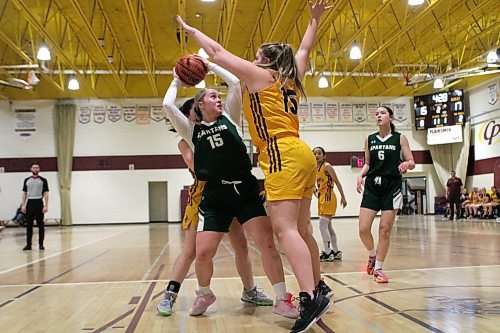 Madison Kwiatkowski (left) led the Neelin Spartans varsity girls past Alanah Gushulak and the Crocus Plainsmen, 56-49 in Game 3 of the Brandon High School Basketball League final at Crocus Plains Regional Secondary School on Tuesday. See Page B1 for the story. (Thomas Friesen/The Brandon Sun)