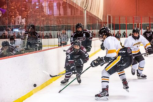 MIKAELA MACKENZIE / WINNIPEG FREE PRESS

St. Paul&#x573; High School player Holden Zemiak (3) races for the puck in a game against Garden City High School at Seven Oaks Complex in Winnipeg on Wednesday, March 1, 2023. For Josh story.

Winnipeg Free Press 2023.