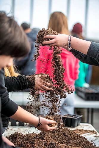 MIKAELA MACKENZIE / WINNIPEG FREE PRESS

Scott Durling and students plant Indigenous plant seeds at the Seven Oaks&#x2019; Aki Centre on Thursday, March 2, 2023. Durling has taken on a new role that involves developing curriculum around climate change, ecoanxiety and empowering students to become environmentalists. For Maggie story.

Winnipeg Free Press 2023.