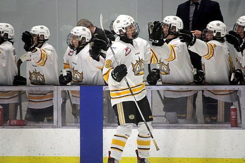 Ethan Stewart fist bumps with his Brandon Wheat Kings teammates after scoring a goal in the first period of Friday's Manitoba U18 AAA Hockey League playoff game against the Southwest Cougars at the J&G Homes Arena. (Lucas Punkari/The Brandon Sun)