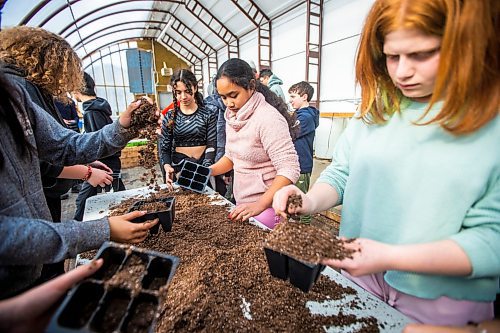MIKAELA MACKENZIE / WINNIPEG FREE PRESS

Students plant Indigenous plant seeds at the Seven Oaks&#x560;Aki Centre on Thursday, March 2, 2023. Their teacher, Scott Durling, has taken on a new role that involves developing curriculum around climate change, ecoanxiety and empowering students to become environmentalists. For Maggie story.

Winnipeg Free Press 2023.