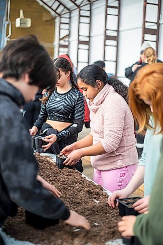 MIKAELA MACKENZIE / WINNIPEG FREE PRESS

Grade seven student Janessa Dejuan plants Indigenous plant seeds at the Seven Oaks&#x560;Aki Centre on Thursday, March 2, 2023. Her teacher, Scott Durling, has taken on a new role that involves developing curriculum around climate change, ecoanxiety and empowering students to become environmentalists. For Maggie story.

Winnipeg Free Press 2023.