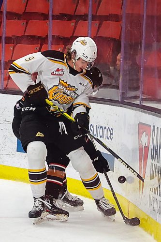 Riley Ginnell played two games for the Brandon Wheat Kings this season prior to a trade to the Moose Jaw Warriors on Oct. 11. (Brandon Sun file)