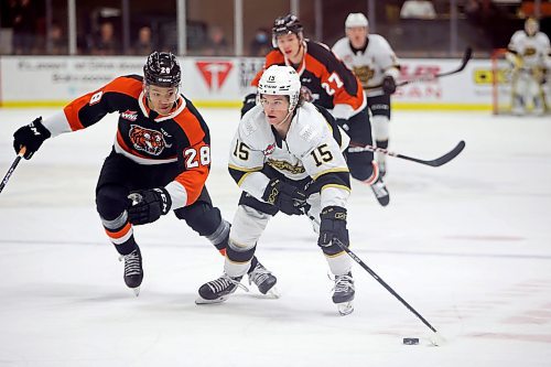 08032022
Nolan Ritchie #15 of the Brandon Wheat Kings plays the puck up ice with Cayden Lindstrom #28 of the Medicine Hat Tigers in pursuit during WHL action at Westoba Place on Wednesday evening. 
(Tim Smith/The Brandon Sun)