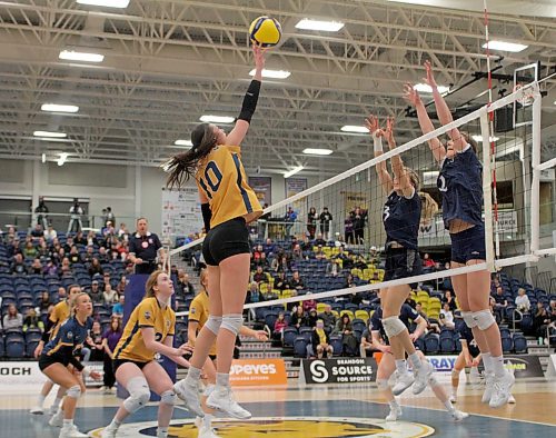 Keely Anderson led Canada West women's volleyball in aces per set in her second year with the Brandon University Bobcats. (Thomas Friesen/The Brandon Sun)