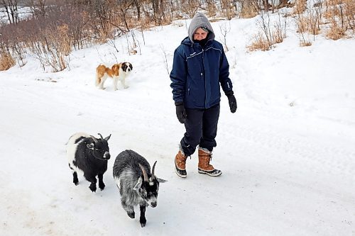 10032023
Shauna Burton walks with her pigmy goats Soren and Beckett and her St. Bernard Willow at her home west of Minnedosa on Friday afternoon. The Burton&#x2019;s also have a goose, dogs and cats. (Tim Smith/The Brandon Sun)