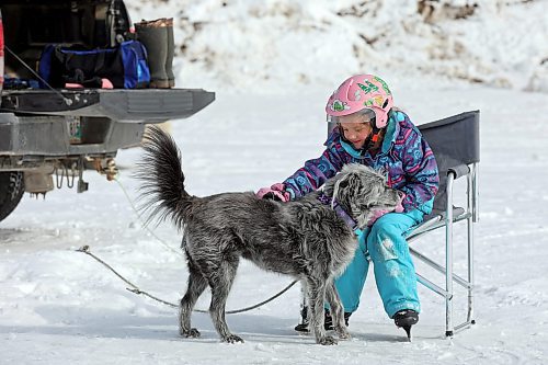 10032023
Five-year-old Claire Dagg visits with her grandfathers dog Piper while ice skating on Minnedosa Lake with her grandfather Tom Instance on a mild Friday. (Tim Smith/The Brandon Sun)