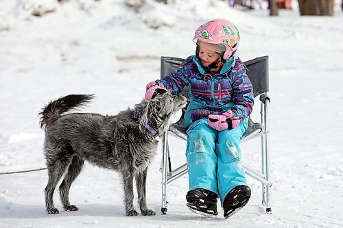 10032023
Five-year-old Claire Dagg visits with her grandfathers dog Piper while ice skating on Minnedosa Lake with her grandfather Tom Instance on a mild Friday. (Tim Smith/The Brandon Sun)