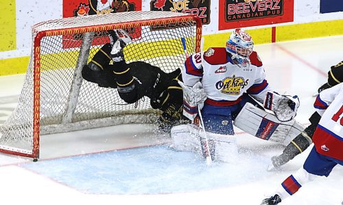 Brandon Wheat Kings forward Dawson Pasternak (88) flies into the net behind Edmonton Oil Kings goalie Kolby Hay (30) during Western Hockey League action at Westoba Place on Saturday. Pasternak got his leg caught on the back bar of the net and took a few moments to dislodge himself before rejoining the play. (Perry Bergson/The Brandon Sun)