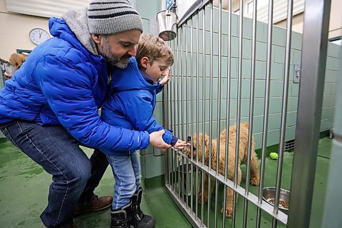 RUTH BONNEVILLE / WINNIPEG FREE PRESS 

Standup - Dog Sale

Photo of Hamish McKeen (5yrs) with dad, Steve McKeen, getting to know, four-month-old, Odie, golden doodle mix,  (male), at the Animal Services Saturday. 

Winnipeg Animal Services holds dog sale on Saturday and Sunday. All dog adoptions will be only $175 and include pet licence, e to the high volume of dogs they have in their shelter.  


March 11th, 2023



