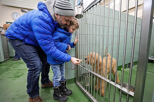 RUTH BONNEVILLE / WINNIPEG FREE PRESS
Standup - Dog Sale
Photo of Hamish McKeen (5yrs) with dad, Steve McKeen, getting to know, four-month-old, Odie, golden doodle mix, (male), at the Animal Services Saturday.
Winnipeg Animal Services holds dog sale on Saturday and Sunday. All dog adoptions will be only $175 and include pet licence, e to the high volume of dogs they have in their shelter.
March 11th, 2023
