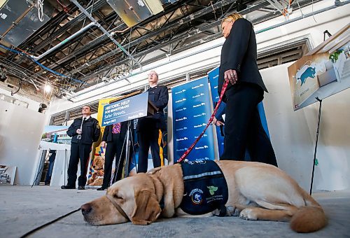 JOHN WOODS / WINNIPEG FREE PRESS
Duke, the therapy dog, takes a break as, from left, Chief Danny Smyth, Winnipeg Police Service, Premier Heather Stefanson, Justice Minister Kelvin Goertzen, Supt. Rob Lasson, officer in charge of major crime services, RCMP, and Christy Dzikowicz, executive director, Toba Centre, were on hand to announce funding for Manitoba violent crime strategy and supports for children and families at the new Toba Centre in Assiniboine Park Sunday, March 12, 2023. 

Re: May
