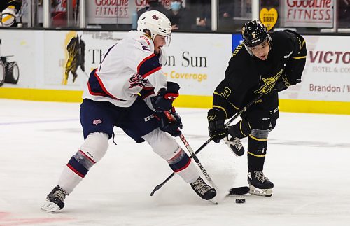 Jacob Hoffrogge (3), who spent his first two WHL seasons with the Brandon Wheat Kings, battles with Regina Pats forward Cole Carrier (21) for the puck on Dec. 11, 2021 at Westoba Place. Hoffrogge now suits up for the Edmonton Oil Kings. (Brandon Sun file photo)