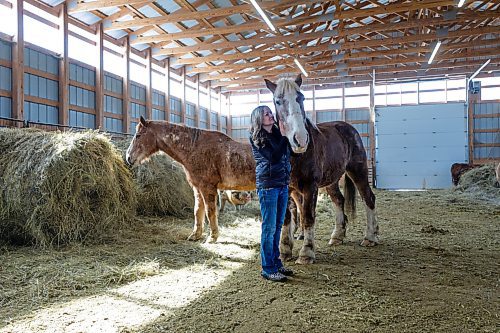 RUTH BONNEVILLE / WINNIPEG FREE PRESS &#x2028;
GREEN PAGE - Animal save 

Colleen Walker, with one of her favourite horses named Shorty, inside one of the familes barns.


Story: Green Page. There&#x2019;s no denying the beauty and grace of horses.  As therapy companions, and animals who create strong bonds with humans it is especially hard to fathom that they&#x2019;re being shipped regularly from the Winnipeg airport for slaughter in Japan. 

Reporter: Janine LeGal,

March 14th, 2023


