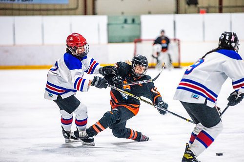 MIKAELA MACKENZIE / WINNIPEG FREE PRESS

Churchill Bulldog Isabela Huculak (17) and CSLR Renard  Chloe Nicholas (12) battle for the puck in the fateful Game 3 of the Manitoba Women&#x573; High School Hockey League Division 1 championship at Dakota Community Centre in Winnipeg on Wednesday, March 15, 2023. For Josh story.

Winnipeg Free Press 2023.