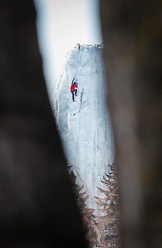 JOHN WOODS / WINNIPEG FREE PRESS
Photographed between trees a person climbs the Alpine Club of Canada&#x2019;s ice tower in St Boniface, Sunday, March 19, 2023. 

Re: standup